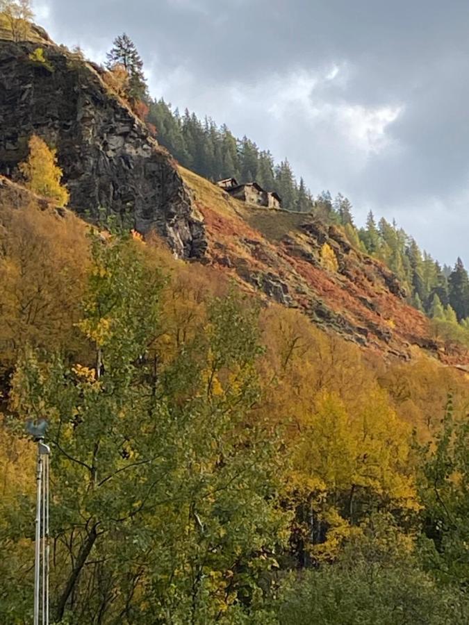 Baita Valtellina. Relax Nel Cuore Delle Alpi グロージオ エクステリア 写真