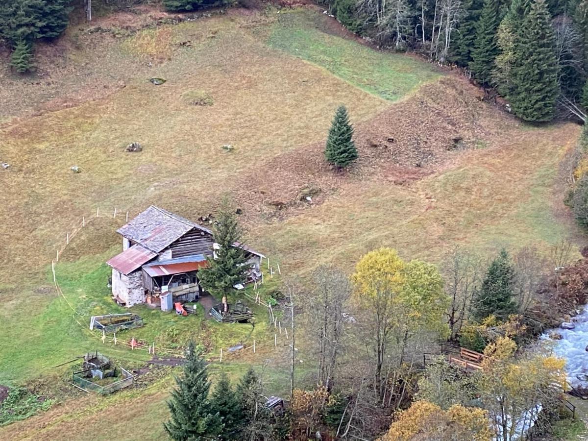 Baita Valtellina. Relax Nel Cuore Delle Alpi グロージオ エクステリア 写真