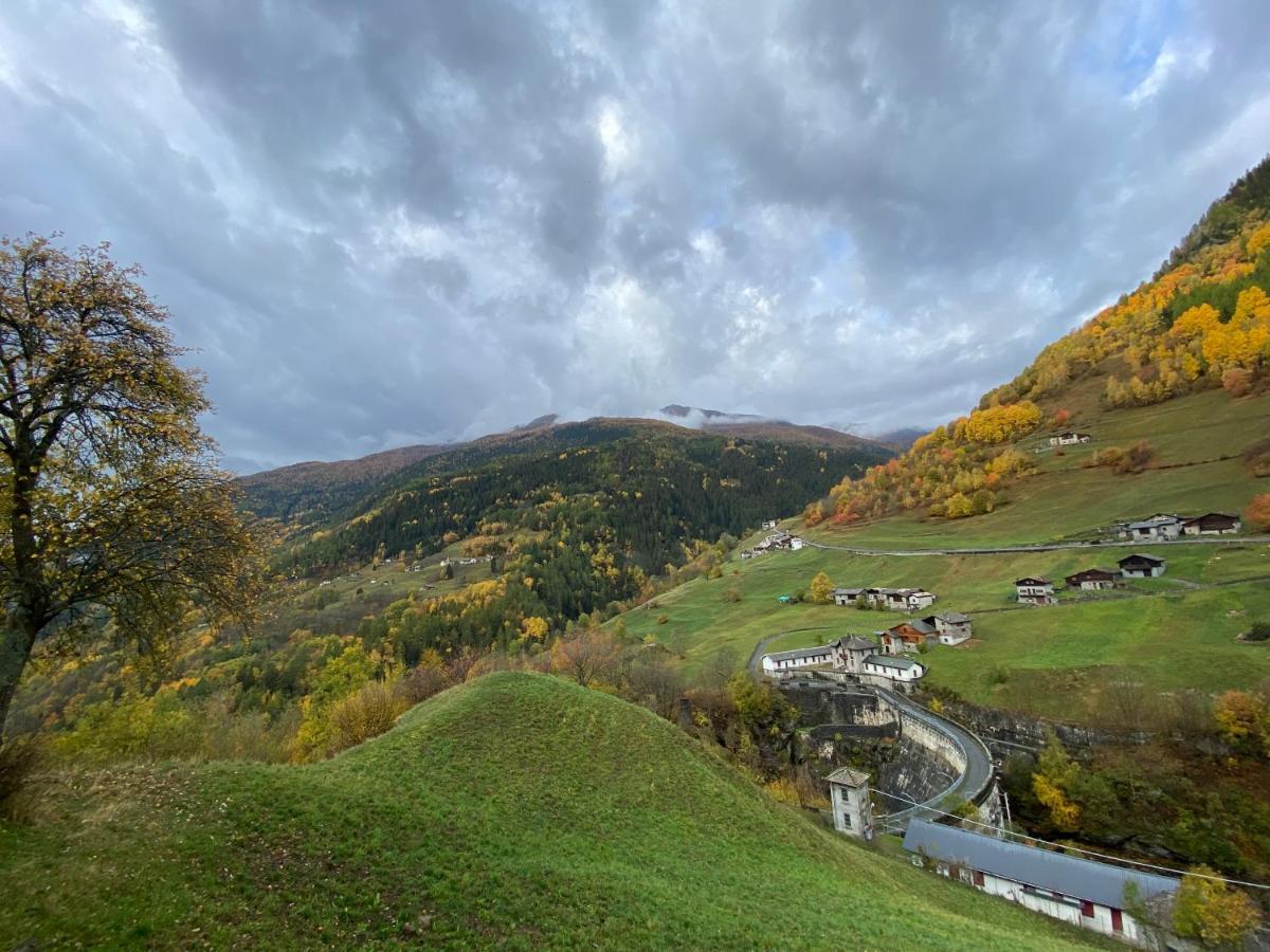 Baita Valtellina. Relax Nel Cuore Delle Alpi グロージオ エクステリア 写真