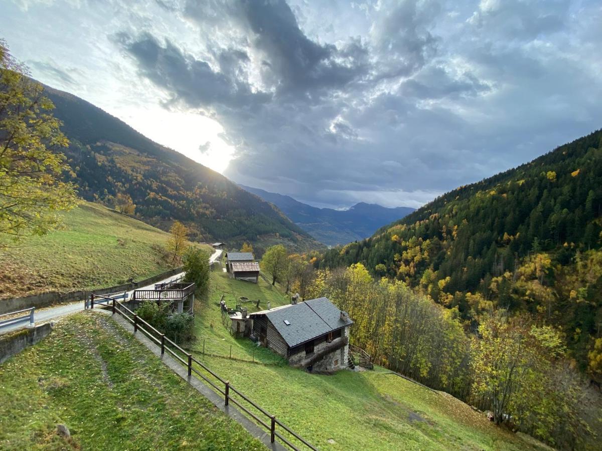 Baita Valtellina. Relax Nel Cuore Delle Alpi グロージオ エクステリア 写真