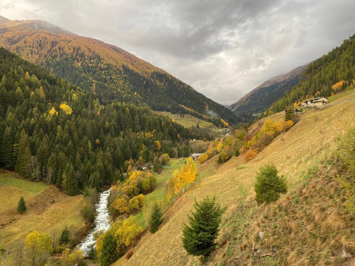 Baita Valtellina. Relax Nel Cuore Delle Alpi グロージオ エクステリア 写真